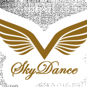 SkyDance-Imaging-Halo-Logo-1.png